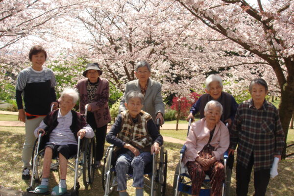 お花見日和
